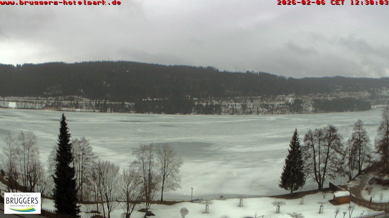 Archiv Foto Webcam Titisee im Schwarzwald