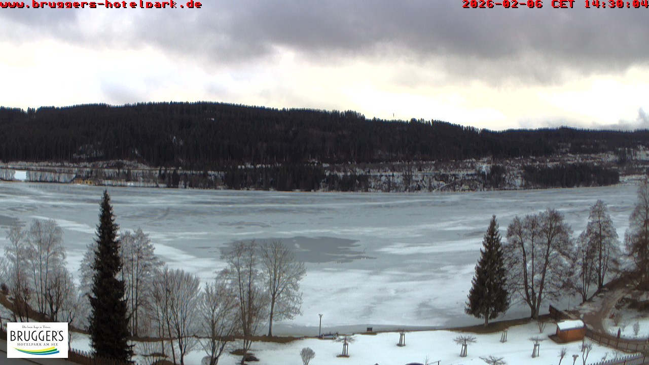 Archiv Foto Webcam Titisee im Schwarzwald
