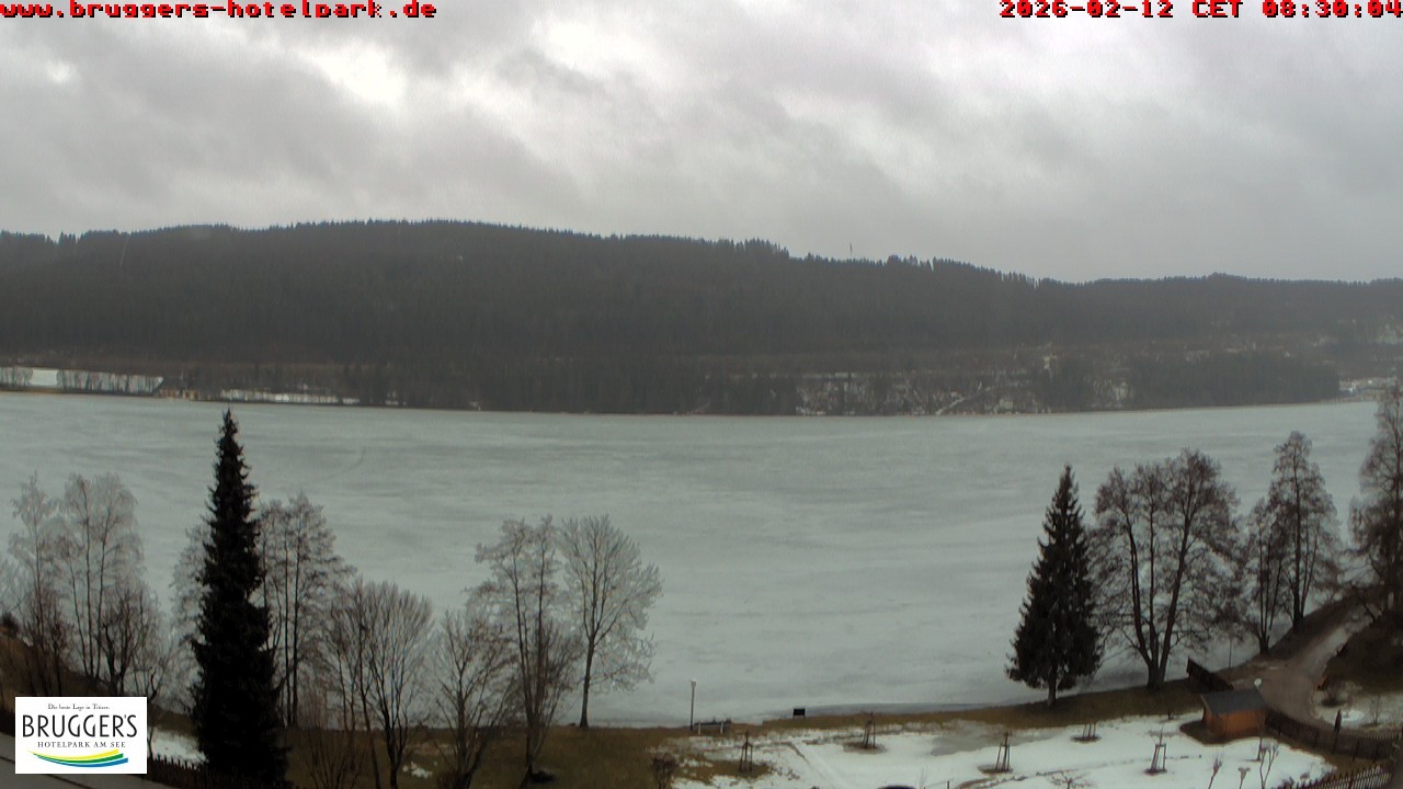 Archiv Foto Webcam Titisee im Schwarzwald