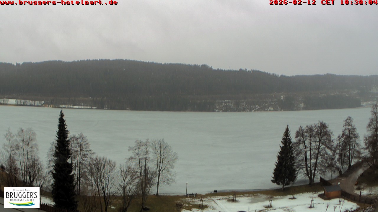 Archiv Foto Webcam Titisee im Schwarzwald