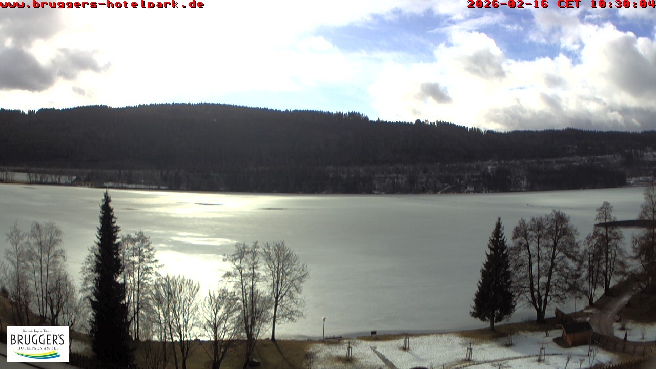 Archiv Foto Webcam Titisee im Schwarzwald