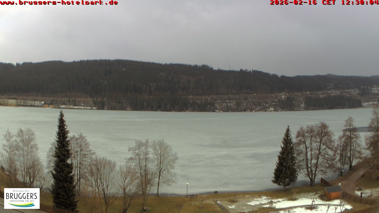 Archiv Foto Webcam Titisee im Schwarzwald