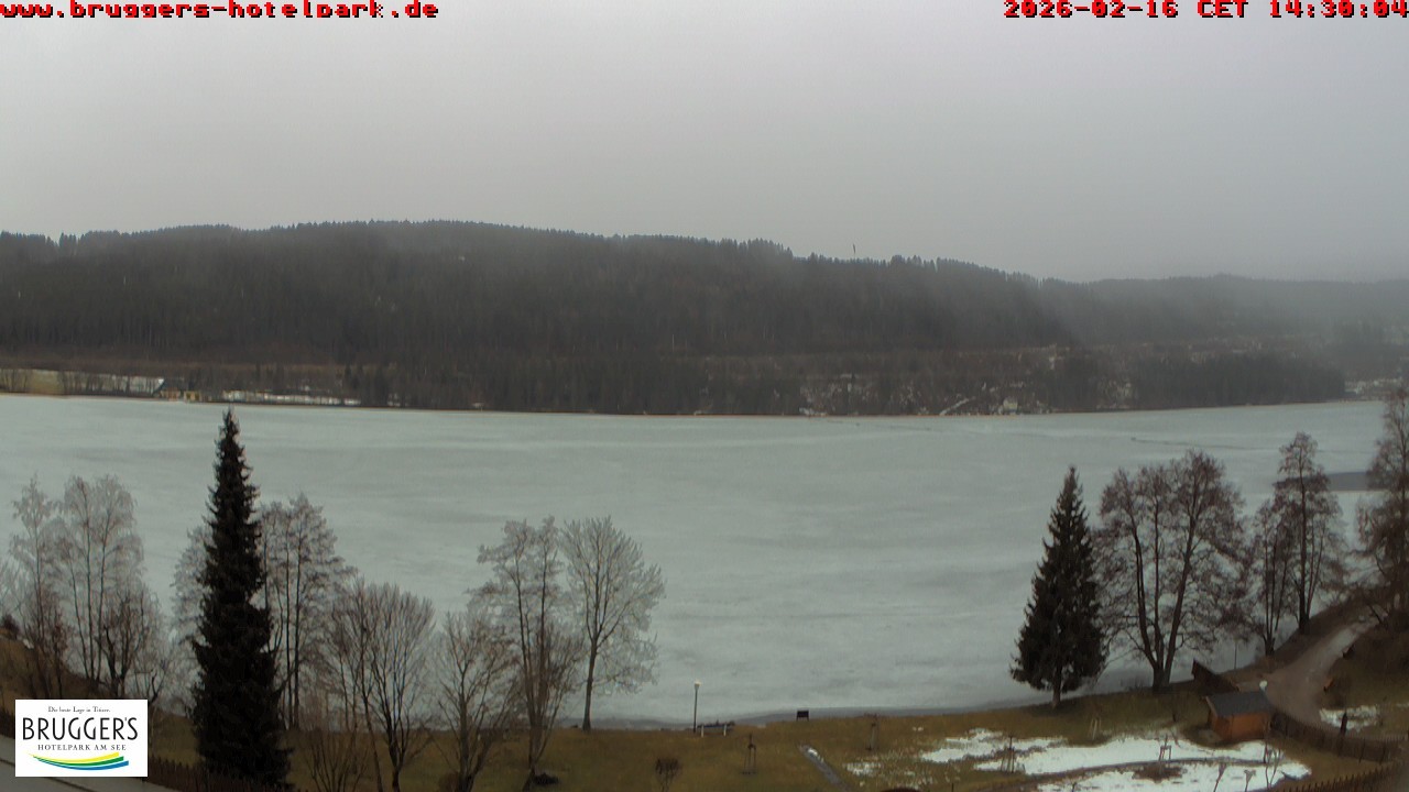 Archiv Foto Webcam Titisee im Schwarzwald