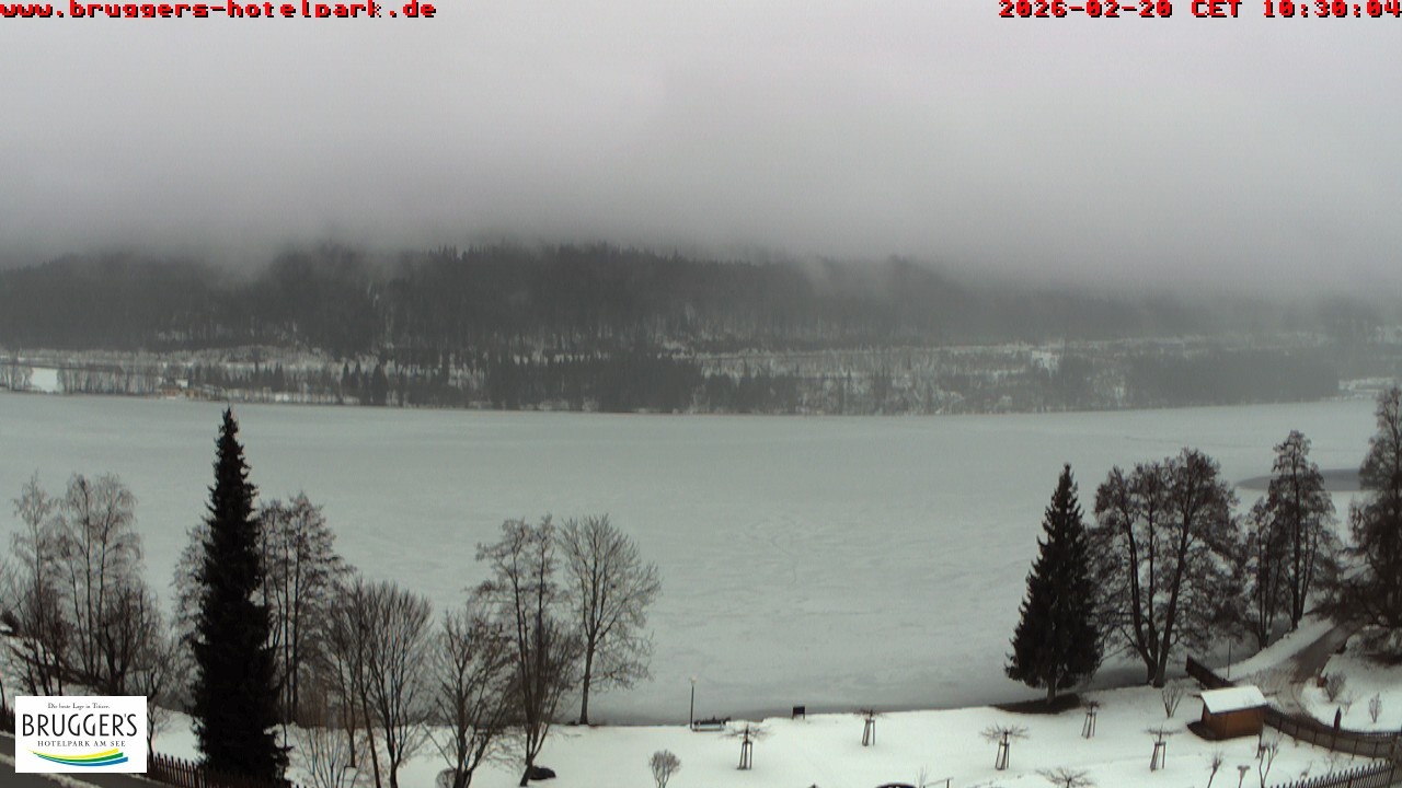 Archiv Foto Webcam Titisee im Schwarzwald