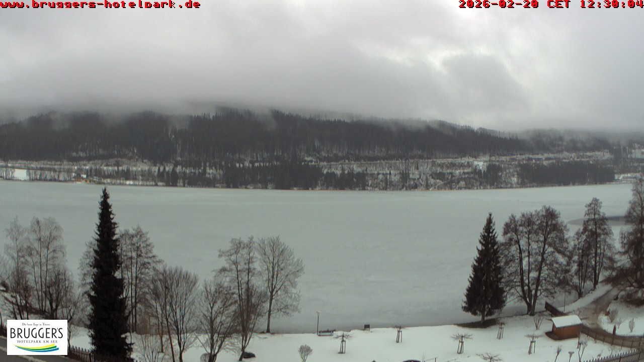 Archiv Foto Webcam Titisee im Schwarzwald
