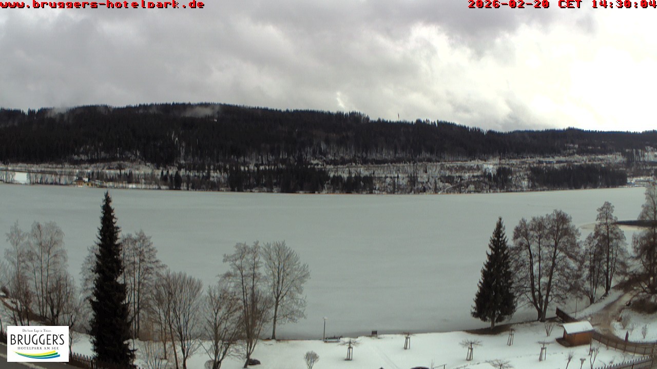 Archiv Foto Webcam Titisee im Schwarzwald