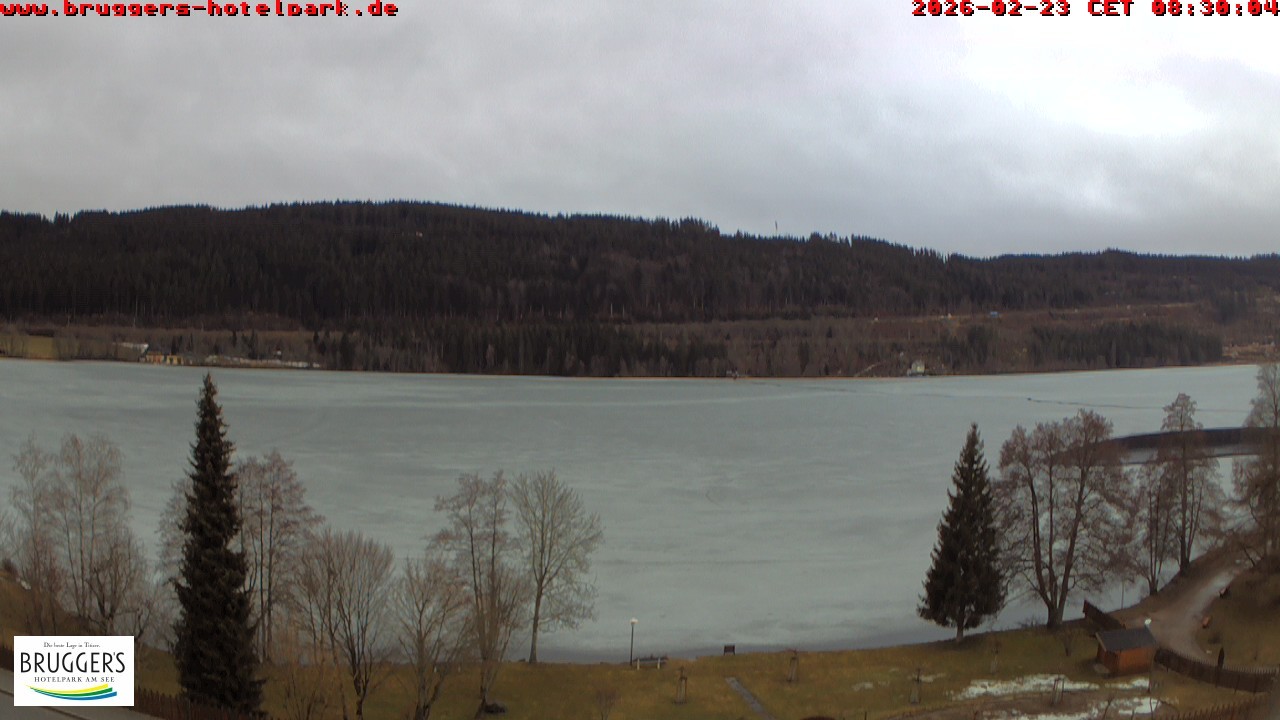 Archiv Foto Webcam Titisee im Schwarzwald
