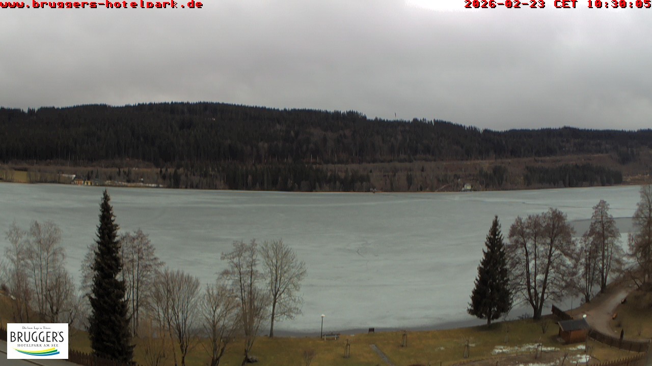 Archiv Foto Webcam Titisee im Schwarzwald