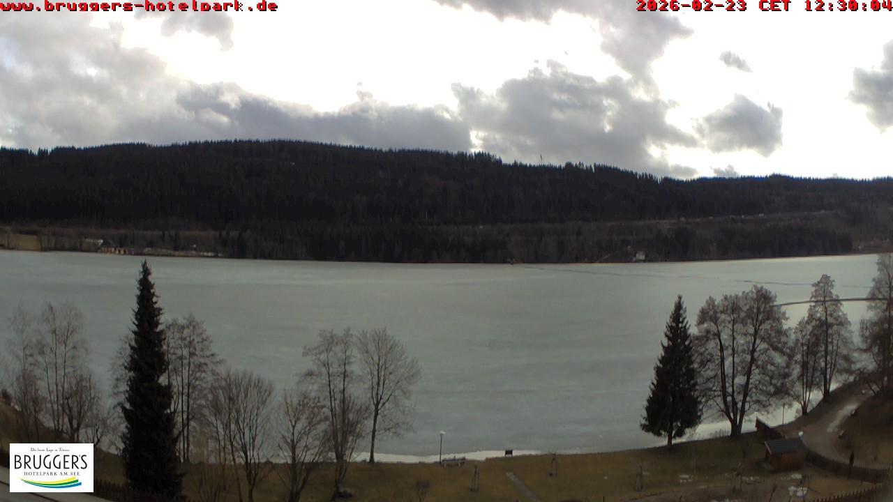 Archiv Foto Webcam Titisee im Schwarzwald