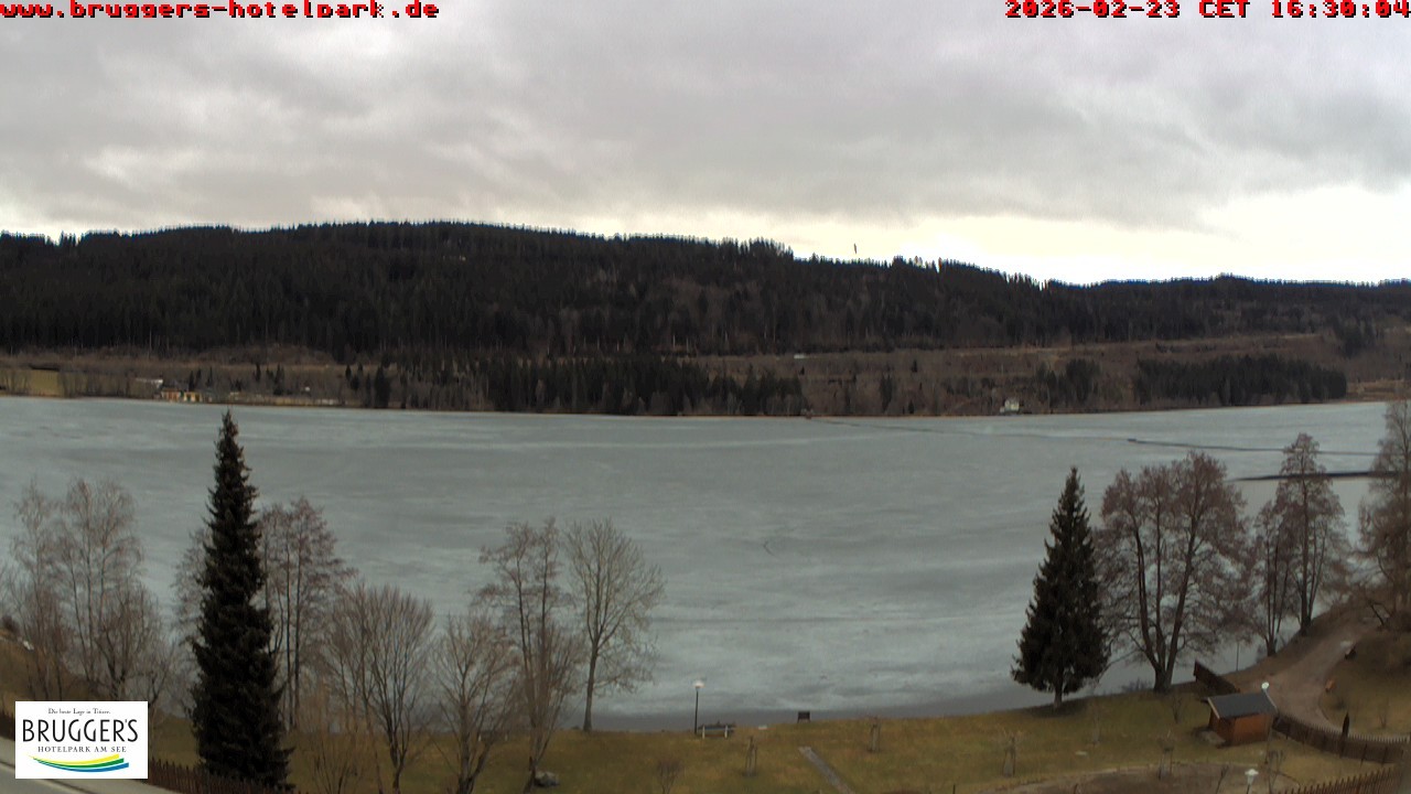 Archiv Foto Webcam Titisee im Schwarzwald