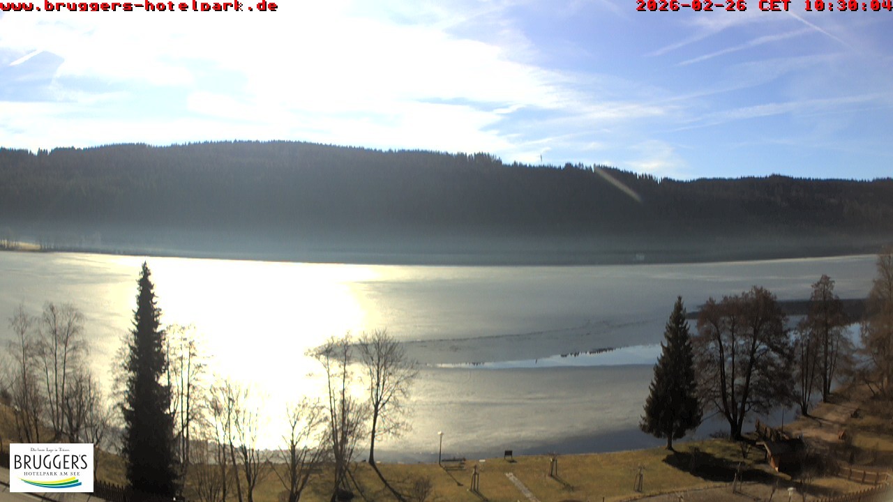 Archiv Foto Webcam Titisee im Schwarzwald