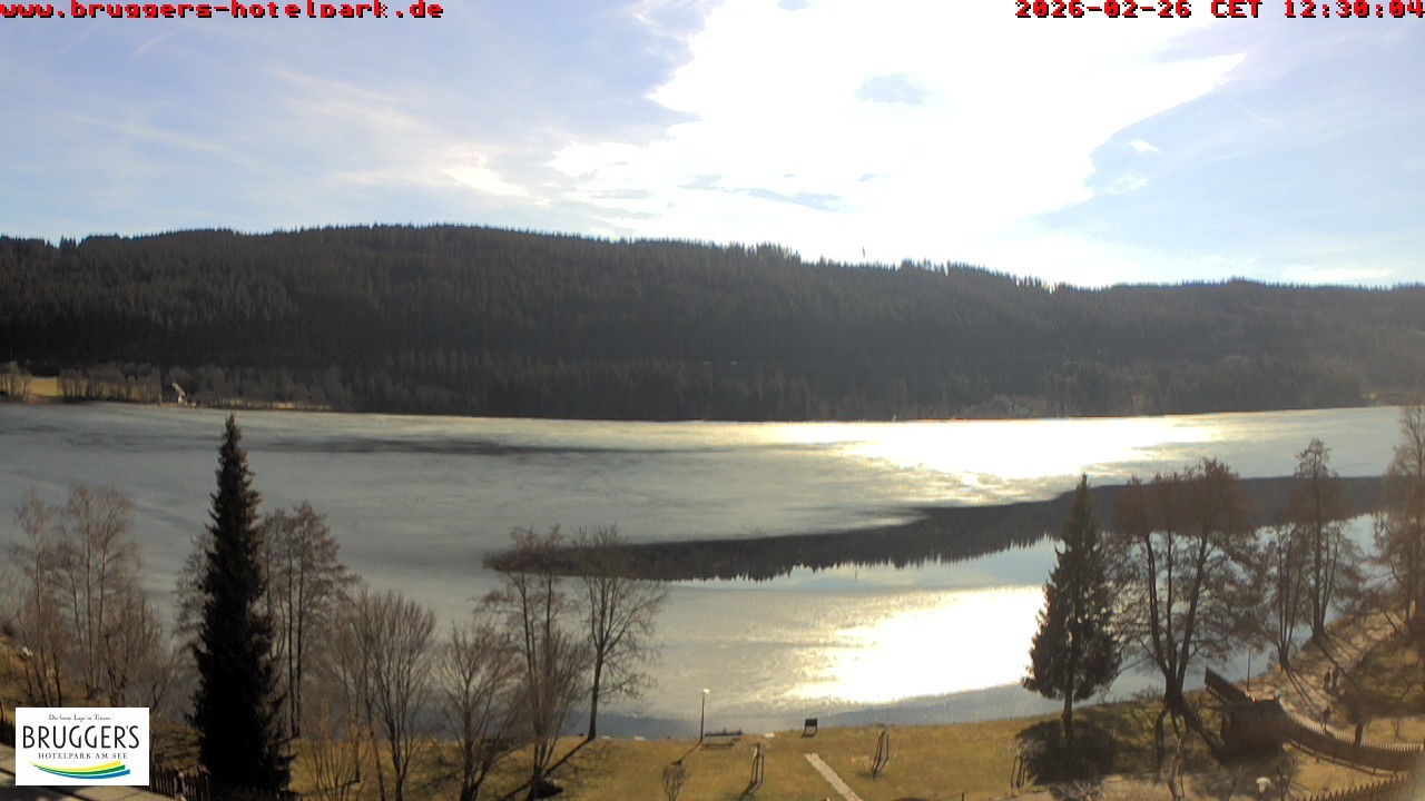 Archiv Foto Webcam Titisee im Schwarzwald