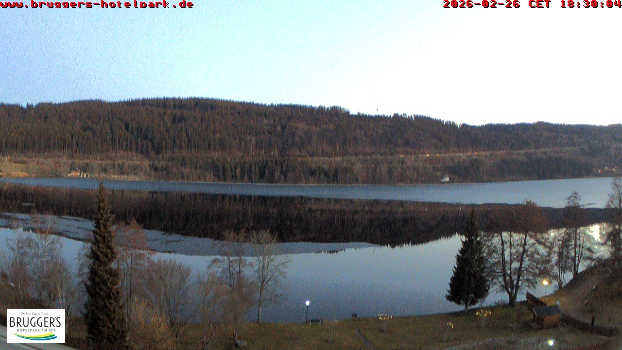 Archived image Webcam Titisee (Black Forest)