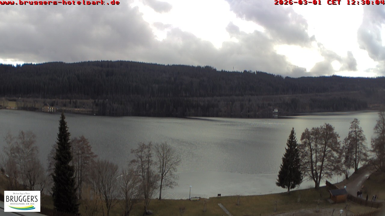 Archiv Foto Webcam Titisee im Schwarzwald