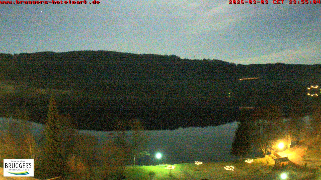Archived image Webcam Titisee (Black Forest)