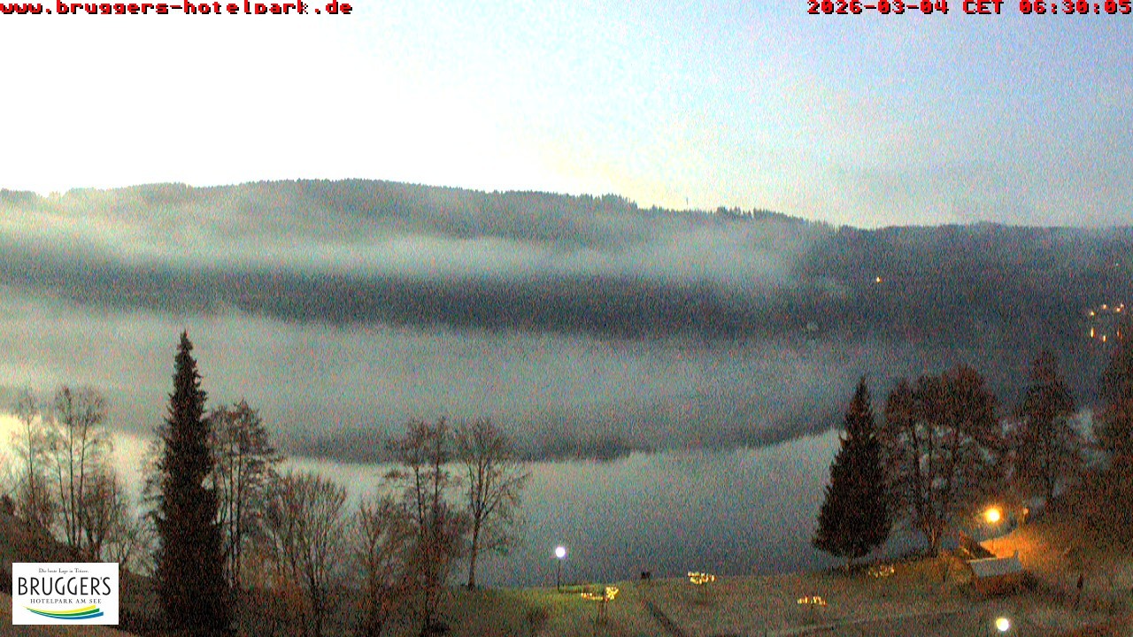 Archived image Webcam Titisee (Black Forest)