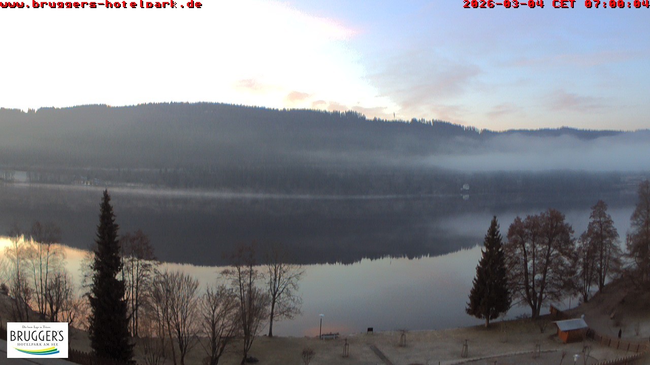 Archived image Webcam Titisee (Black Forest)