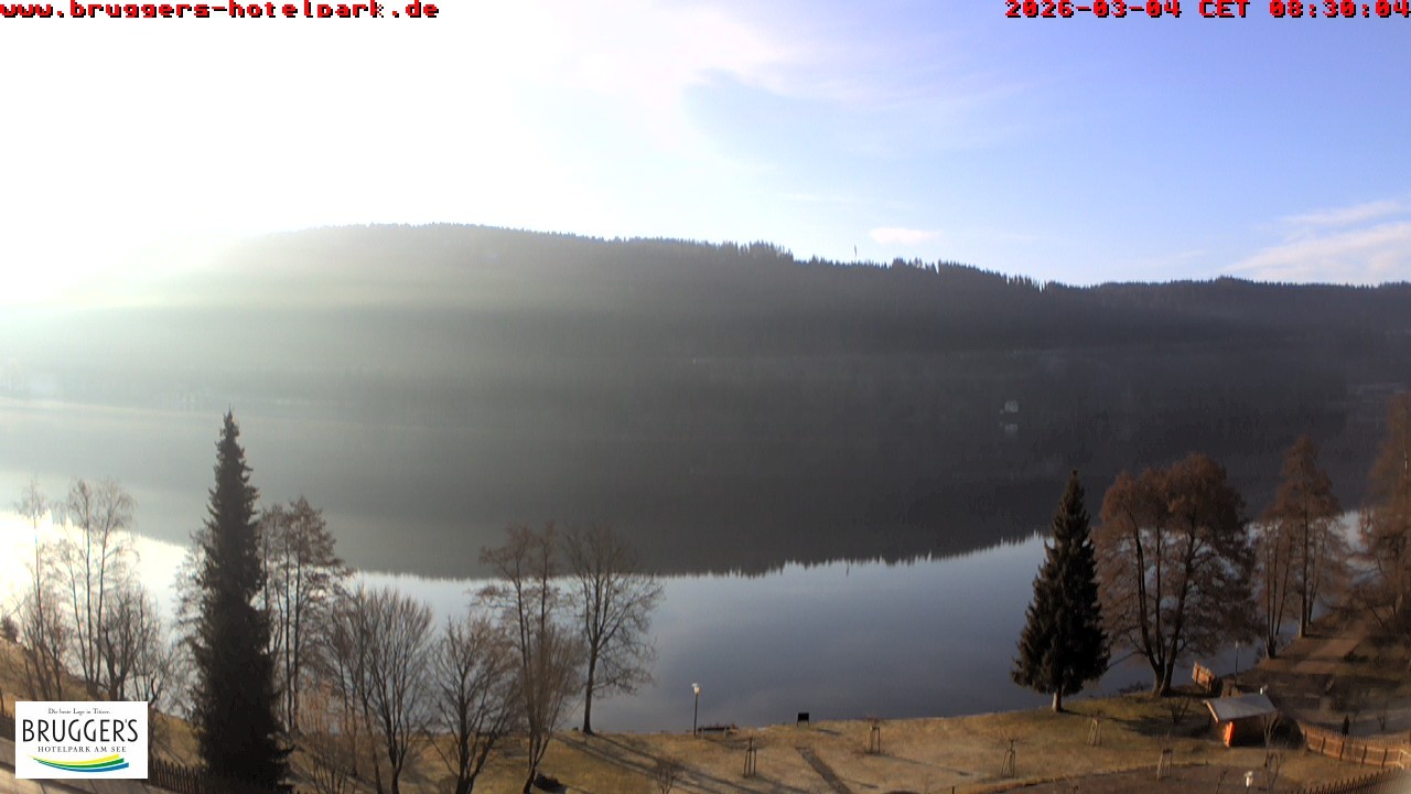 Archived image Webcam Titisee (Black Forest)