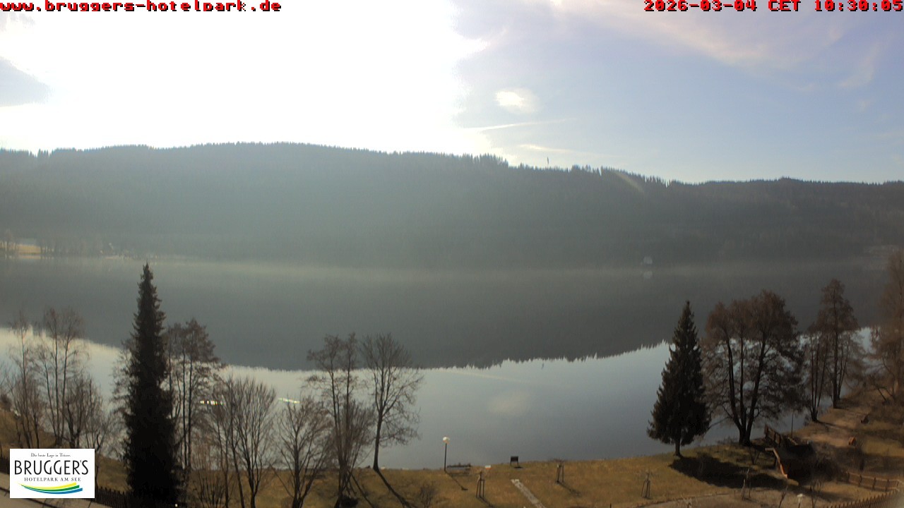 Archived image Webcam Titisee (Black Forest)