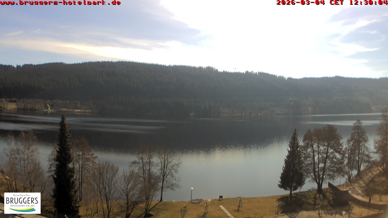 Archived image Webcam Titisee (Black Forest)