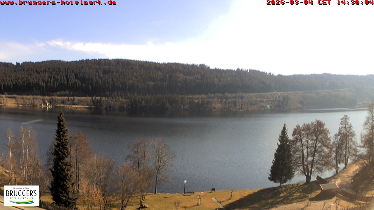Archived image Webcam Titisee (Black Forest)