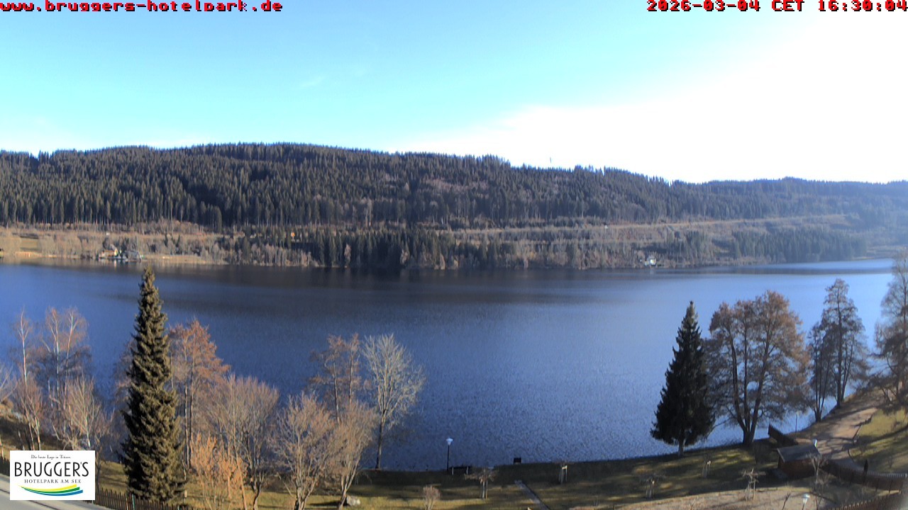 Archived image Webcam Titisee (Black Forest)