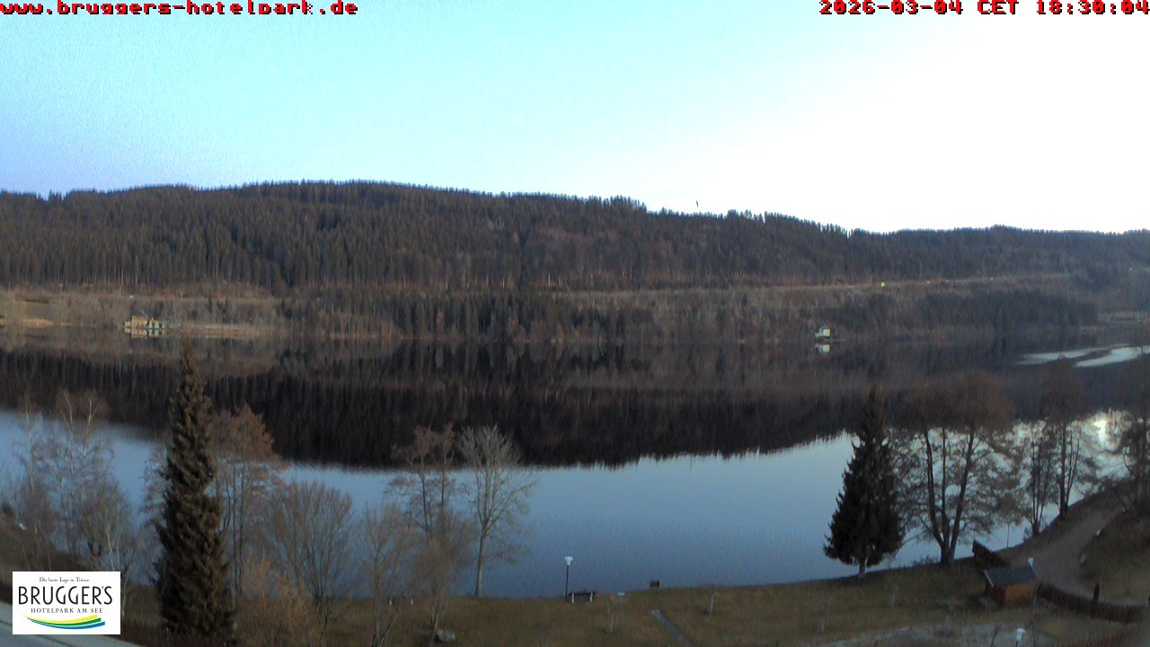Archived image Webcam Titisee (Black Forest)