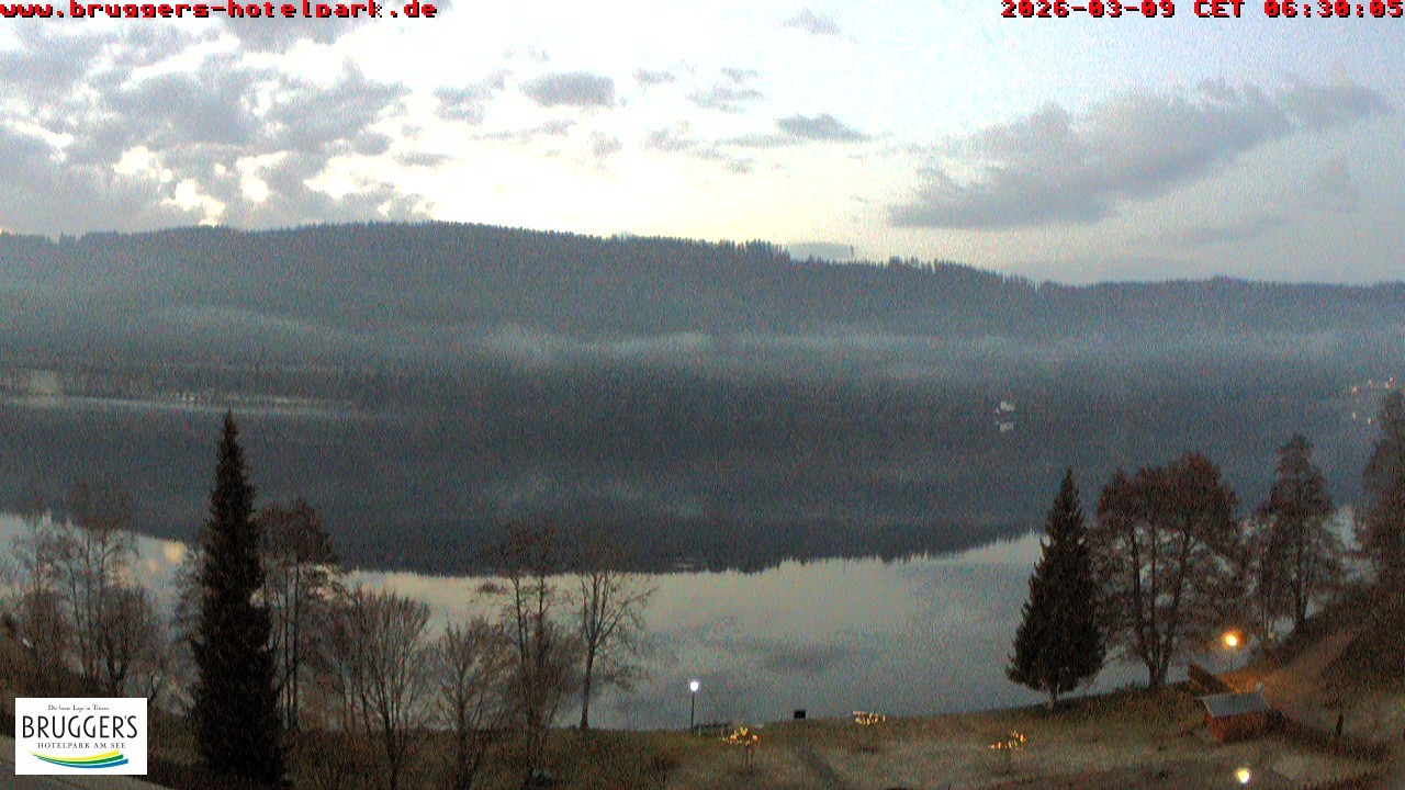 Archived image Webcam Titisee (Black Forest)