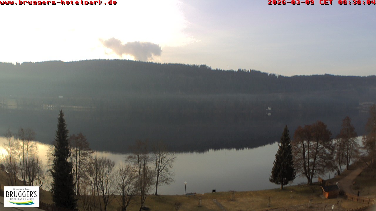 Archived image Webcam Titisee (Black Forest)