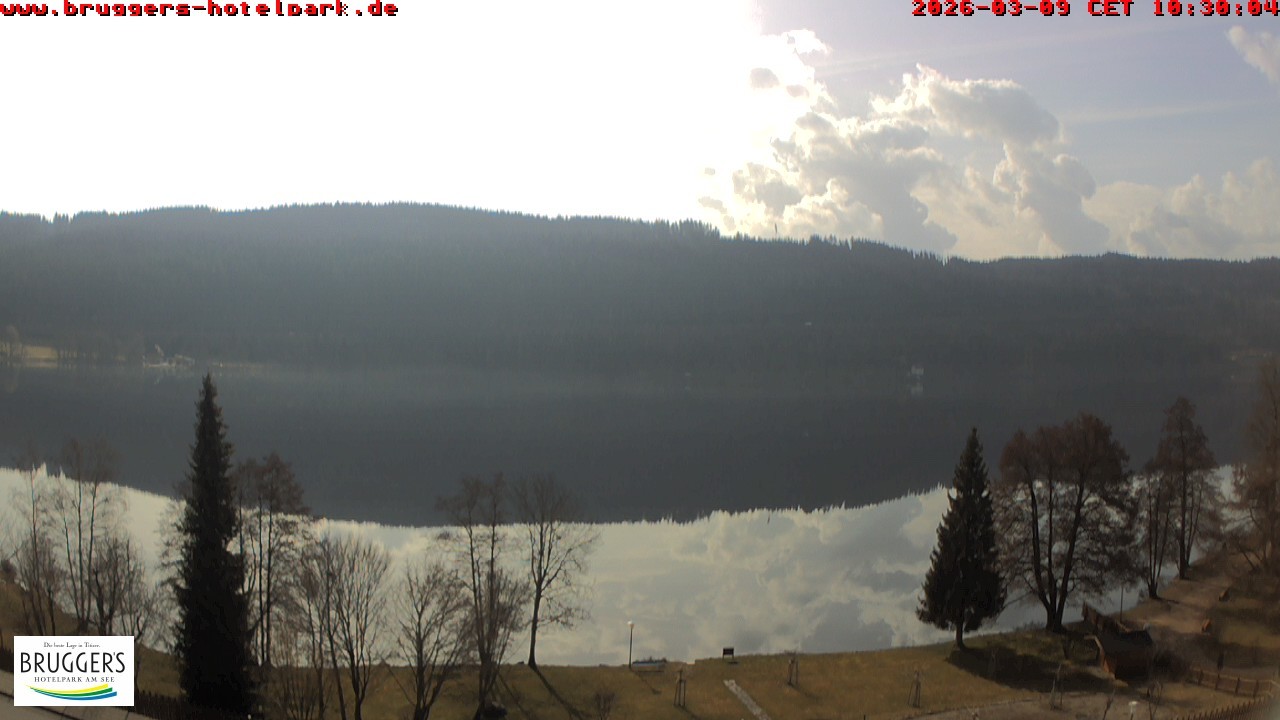 Archived image Webcam Titisee (Black Forest)