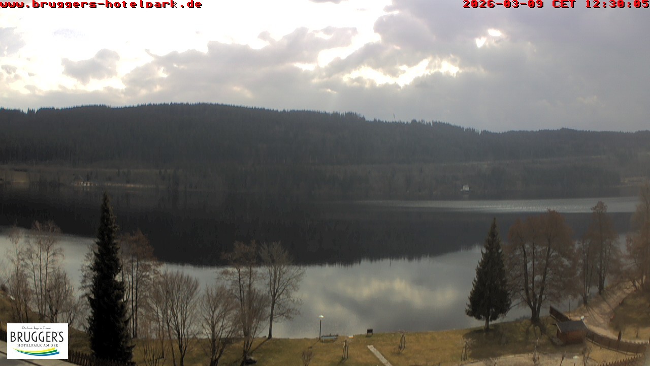 Archived image Webcam Titisee (Black Forest)