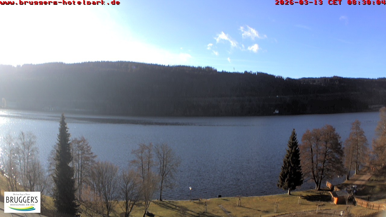 Archived image Webcam Titisee (Black Forest)