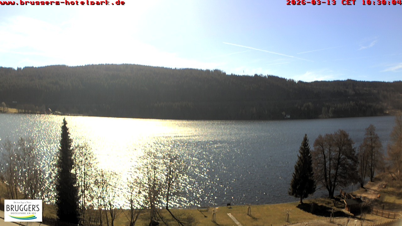 Archived image Webcam Titisee (Black Forest)