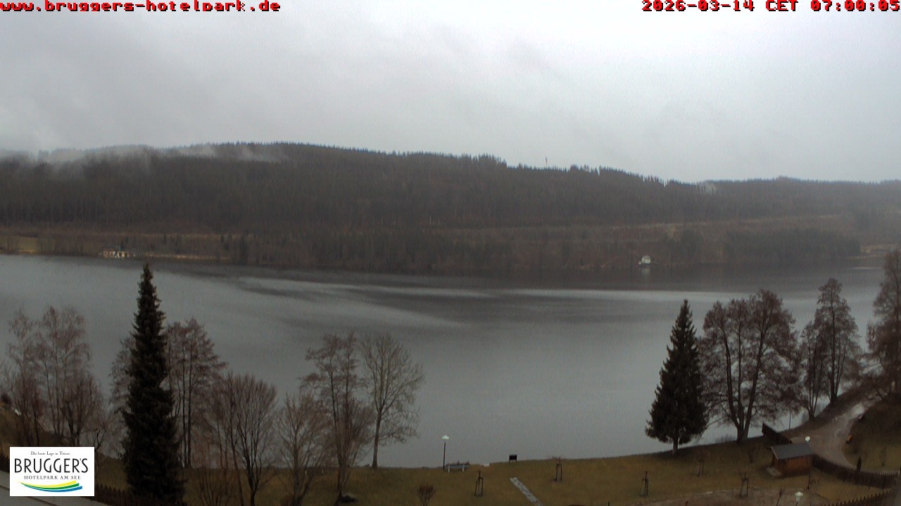 Archiv Foto Webcam Titisee im Schwarzwald