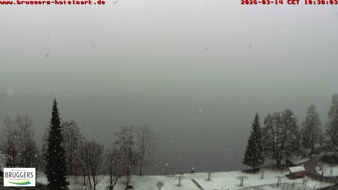 Archiv Foto Webcam Titisee im Schwarzwald