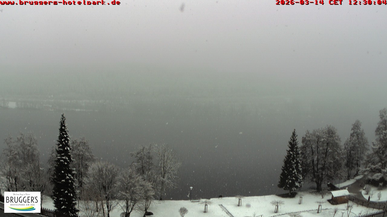 Archiv Foto Webcam Titisee im Schwarzwald