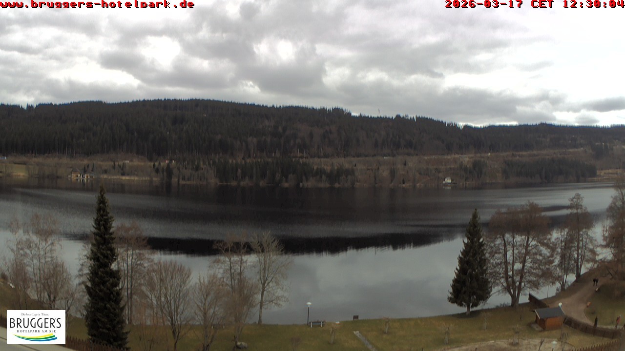 Archiv Foto Webcam Titisee im Schwarzwald