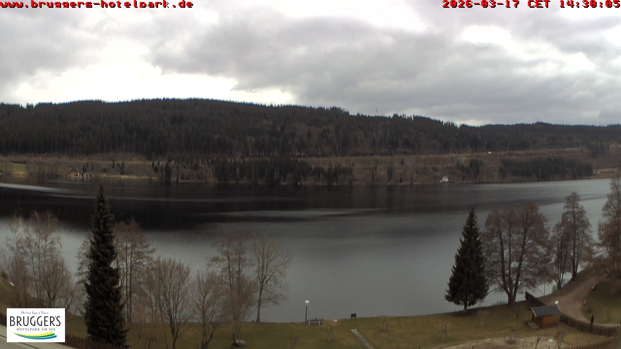 Archiv Foto Webcam Titisee im Schwarzwald