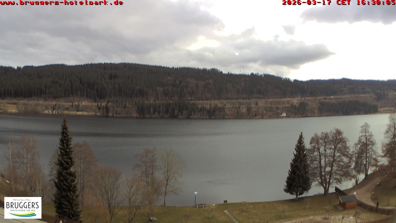 Archiv Foto Webcam Titisee im Schwarzwald