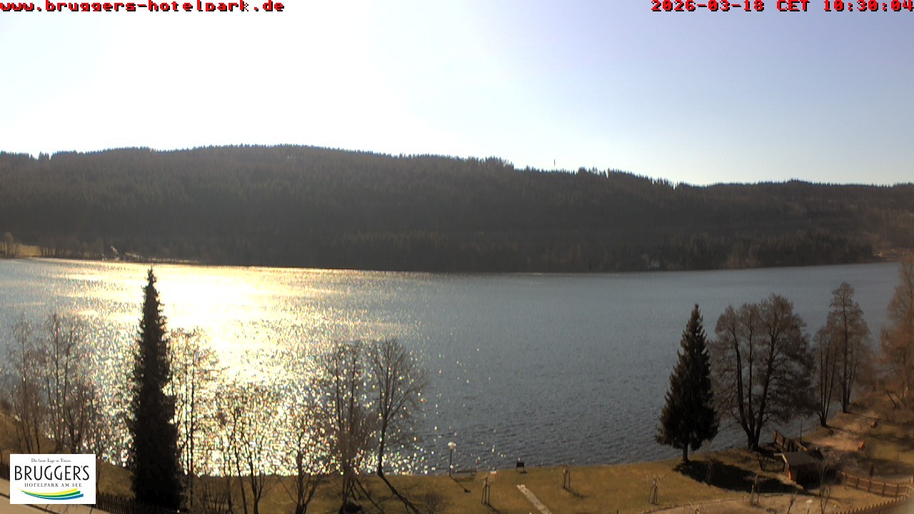 Archiv Foto Webcam Titisee im Schwarzwald