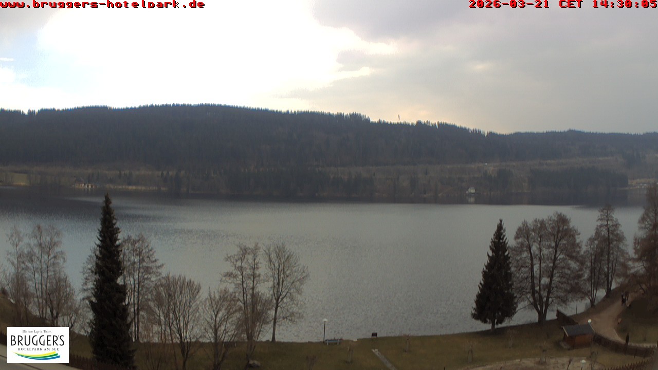 Archiv Foto Webcam Titisee im Schwarzwald