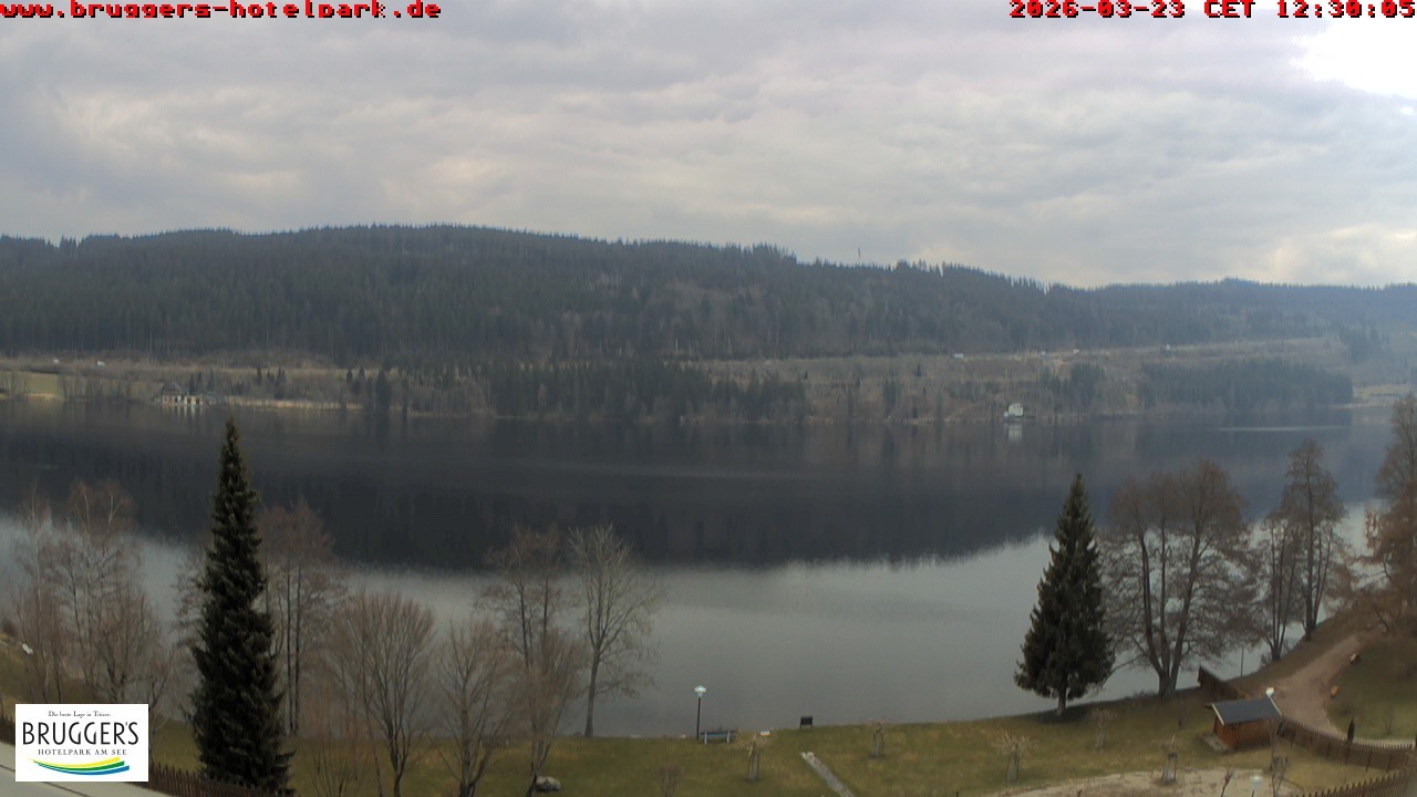 Archiv Foto Webcam Titisee im Schwarzwald