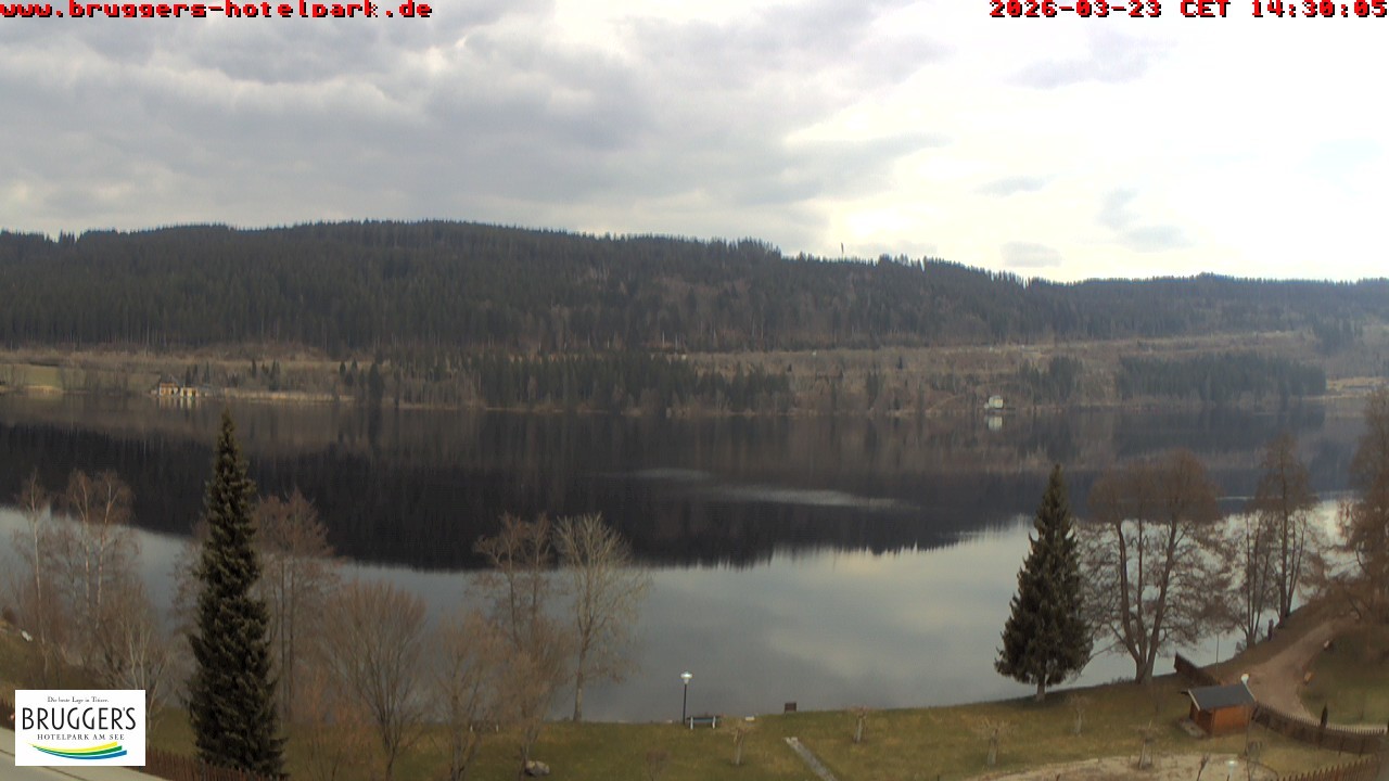 Archiv Foto Webcam Titisee im Schwarzwald