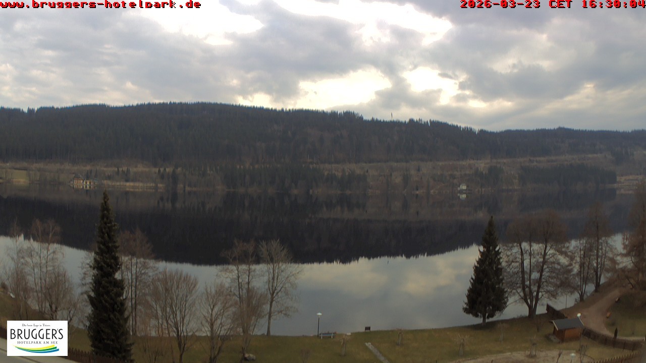 Archiv Foto Webcam Titisee im Schwarzwald