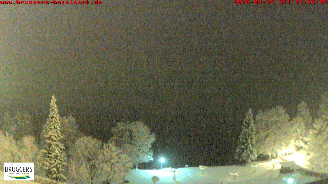 Archiv Foto Webcam Titisee im Schwarzwald