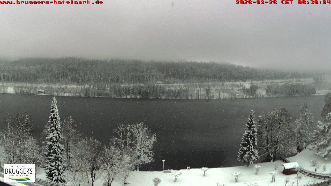 Archiv Foto Webcam Titisee im Schwarzwald