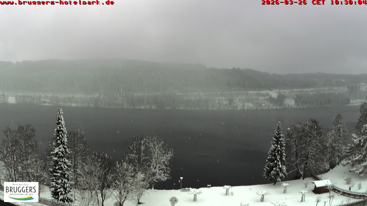 Archiv Foto Webcam Titisee im Schwarzwald