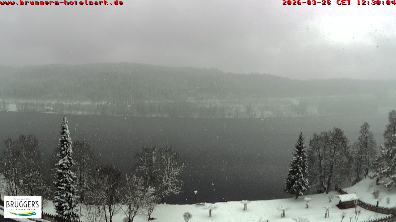 Archiv Foto Webcam Titisee im Schwarzwald