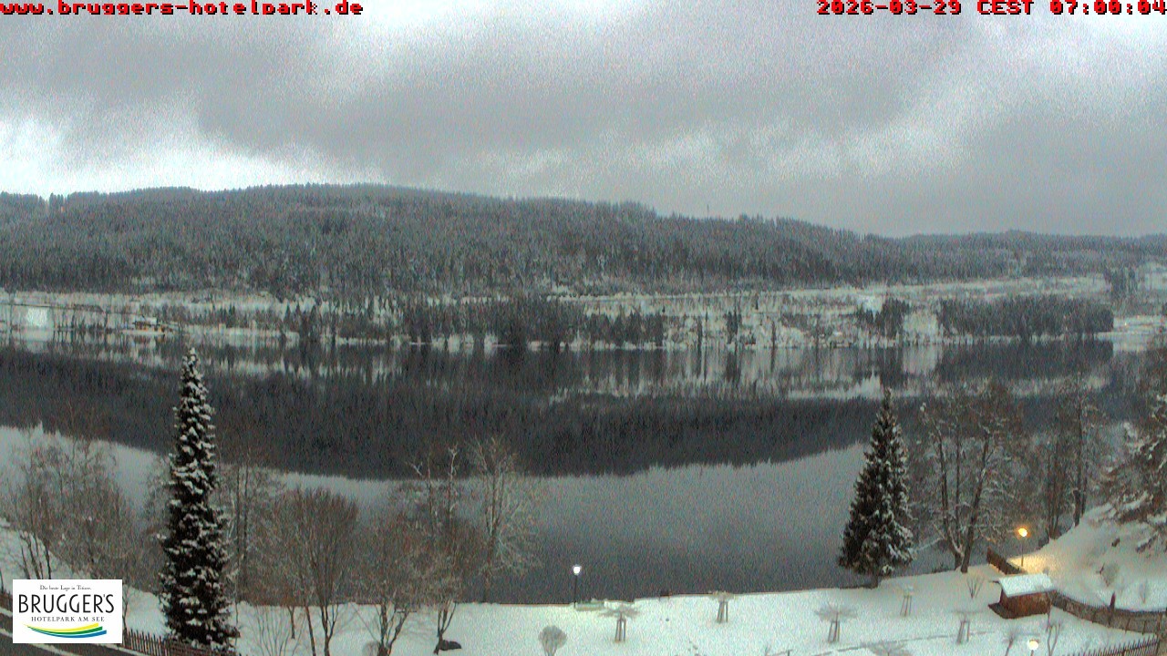 Archived image Webcam Titisee (Black Forest)