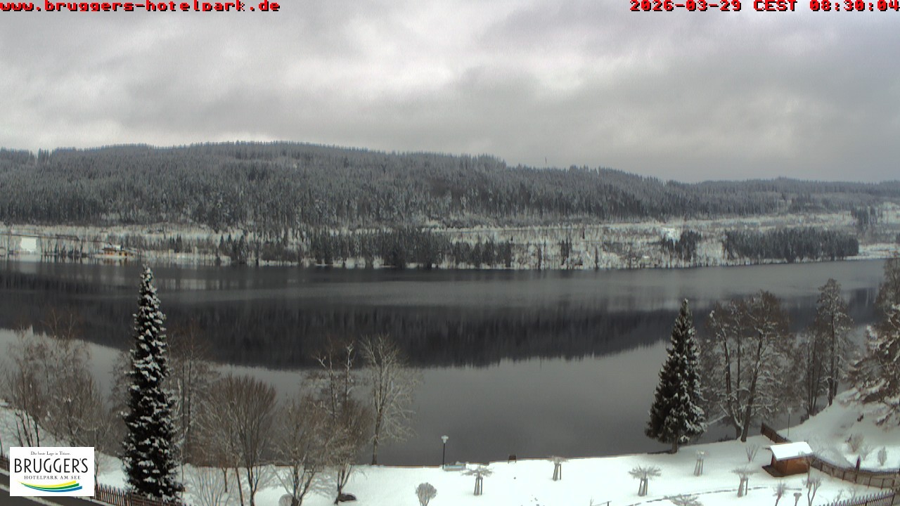 Archived image Webcam Titisee (Black Forest)
